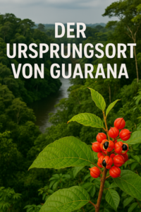 Guarana im Urwald Amazoniens